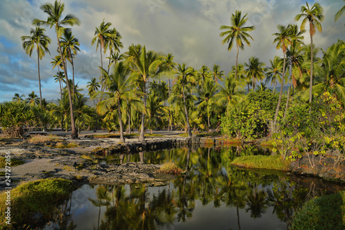 lake in tropical forest