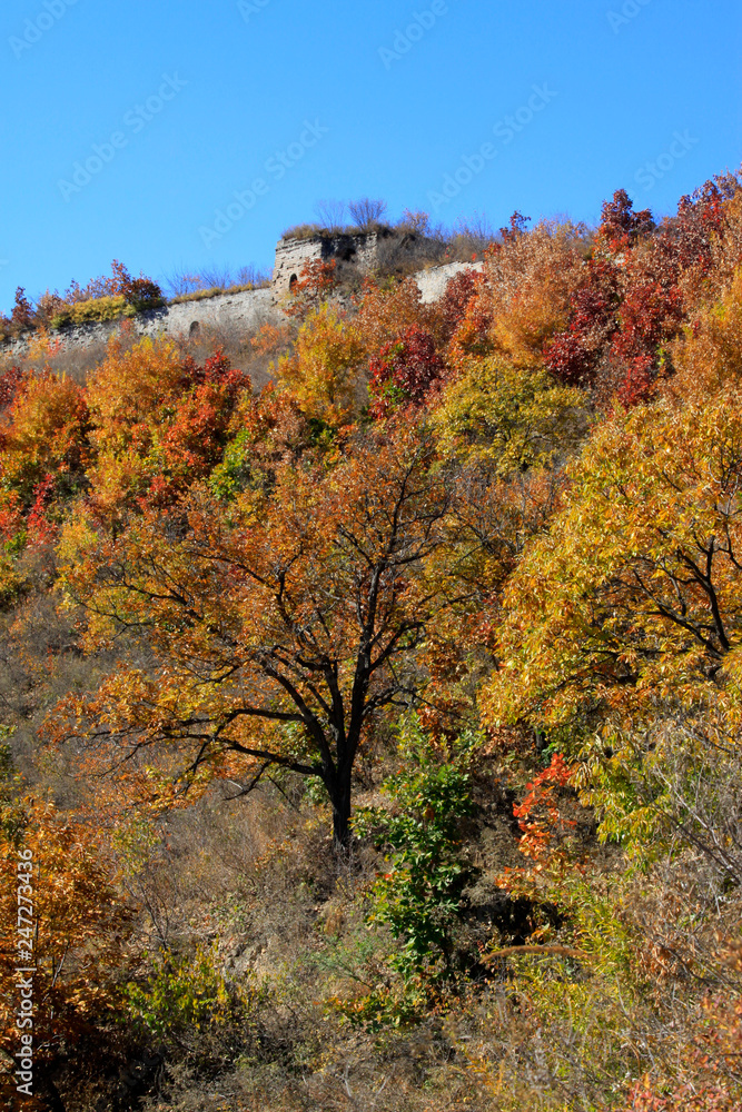 Fototapeta premium Great Wall of China architectural scenery