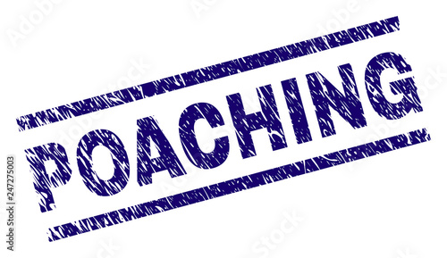 POACHING seal print with grunge style. Blue vector rubber print of POACHING caption with dust texture. Text caption is placed between parallel lines.