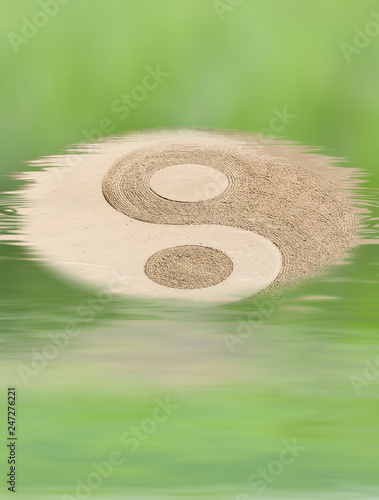 symbole yin yang en milieu aquatique