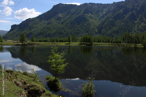 Forest lake in the Sentsa river Delta
