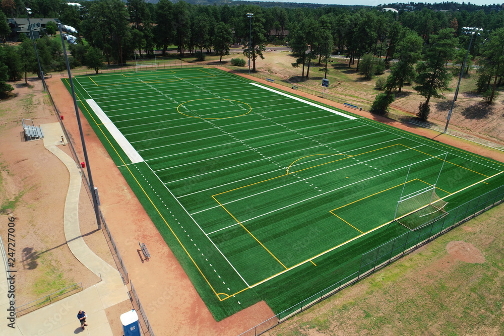 Fototapeta premium Turf
