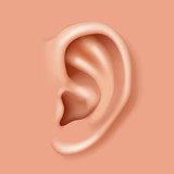 Ear organ hearing human health care closeup realistic 3d icon design vector illustration