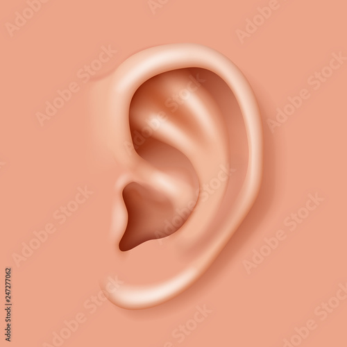 Ear organ hearing human health care closeup realistic 3d icon design vector illustration