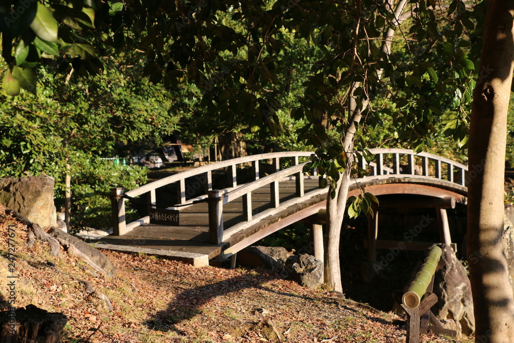Fototapeta premium 日本庭園