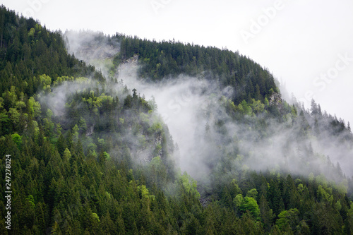 clouds hanging deep over forest