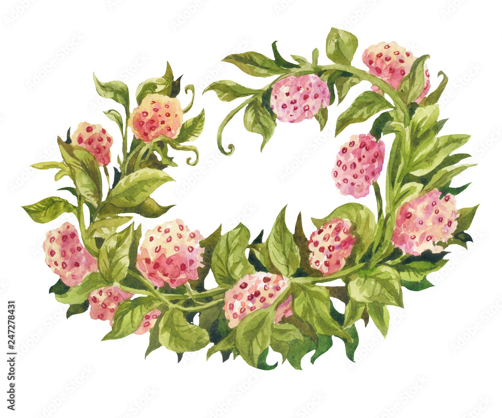 Unusual oval flower frame. Decorative element for summer holiday or wedding design. Watercolor illustration on white background Unusual oval flower frame. Decorative element for summer holiday or wedding design. Watercolor illustration on white background