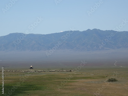 Nomads herding sheep in the mountains of Kazakhstan.