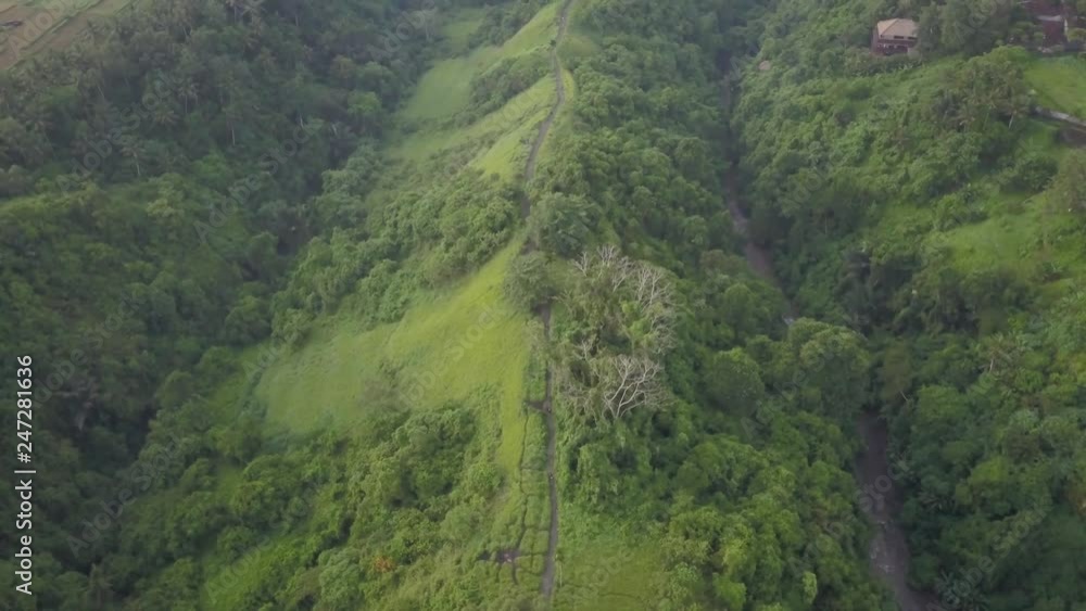 Aerial view of hilly area in jungle, breathtaking sight of river and rice fields Aerial view of hilly area in jungle, breathtaking sight of river and rice fields