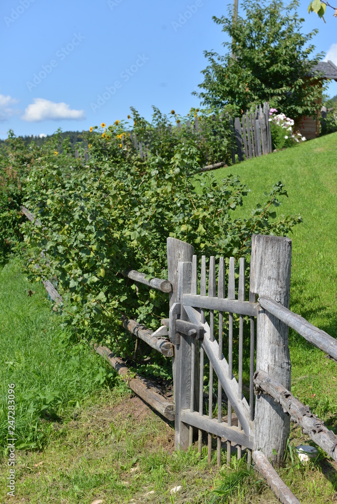 Lo steccato del giardino