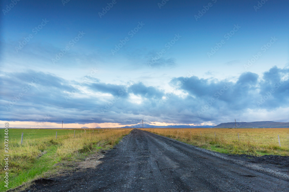 Naklejka premium country road in the field