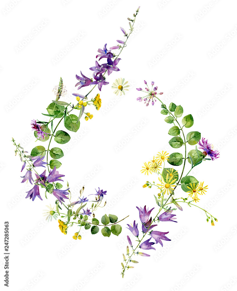 Frame of wild field watercolor flowers on a white background Frame of wild field watercolor flowers on a white background