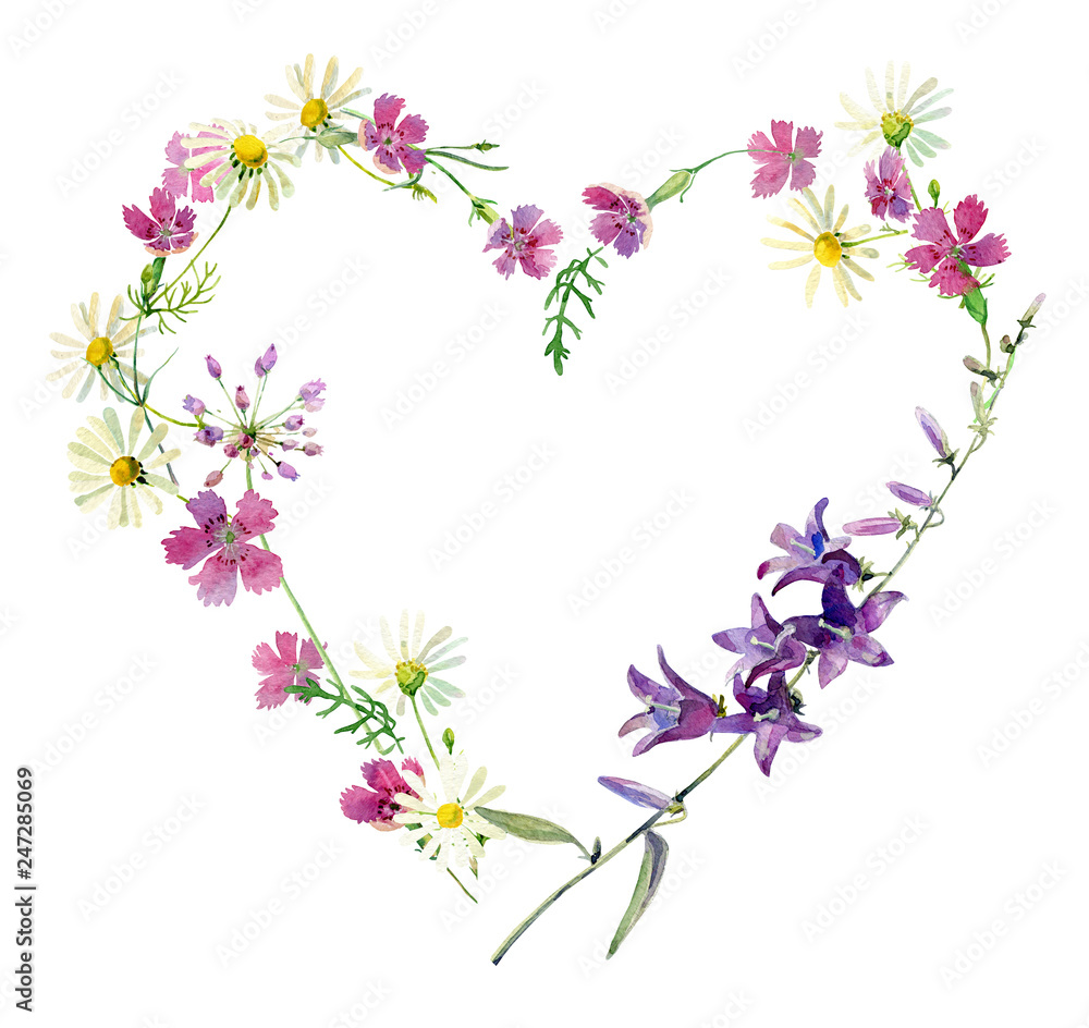 Watercolor heart of flowers of chamomile, bluebell and wild carnation on a white background. For greetings and invitations