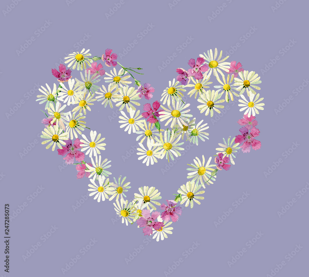 Watercolor heart of daisy flowers and wild carnations on a white background. For greetings and invitations
