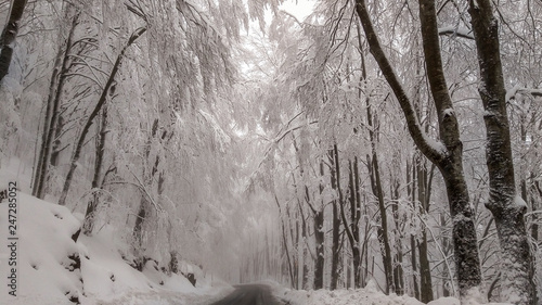 Strada ghiacciata e pericolosa per la vetta del monte Amiata. Tipico paesaggio invernale dell'appennino italiano con la neve