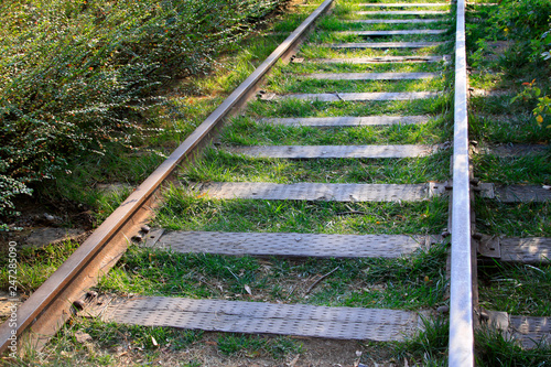 Rail