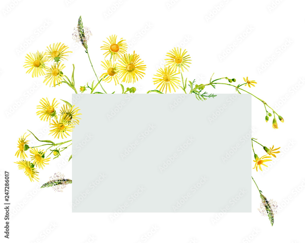 Congratulation with a bouquet of yellow flowers on a white background. For greetings and invitations Congratulation with a bouquet of yellow flowers on a white background. For greetings and invitations