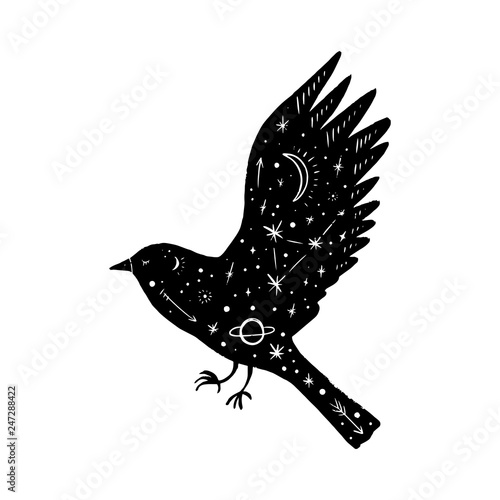 Vector patterned polar bird, moon and stars, space constellations. Beautiful onamental animal print, Northern Lights