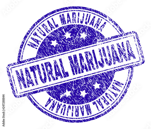 NATURAL MARIJUANA stamp seal watermark with grunge texture. Designed with rounded rectangles and circles. Blue vector rubber print of NATURAL MARIJUANA caption with grunge texture.