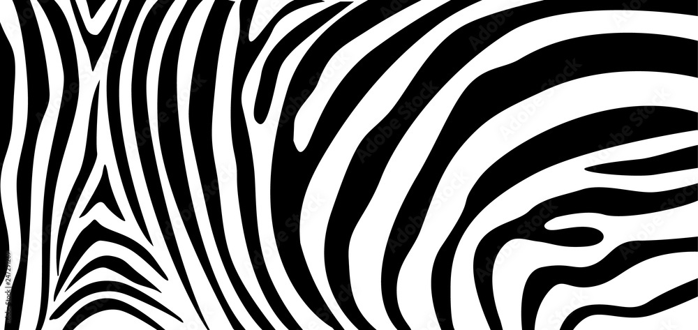 Zebra pattern texture repeating. Simple pattern, black line for textile design fabric. horizontal backdrop, black chaotic stripe isolated on white. hand drawn vector illustration.