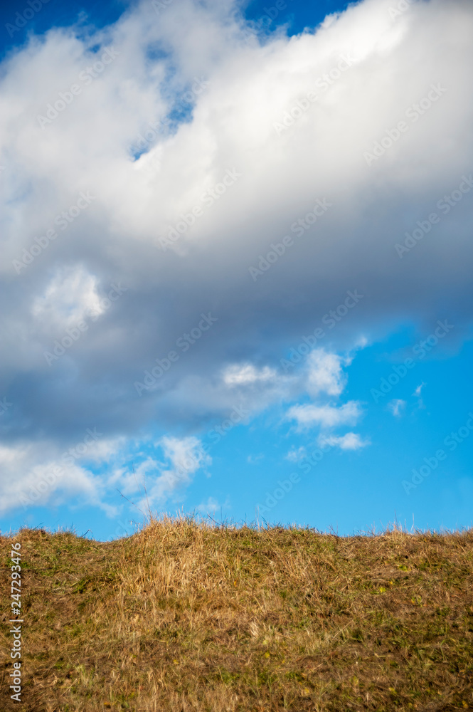 Meadow and grass with blue sky and clouds Meadow and grass with blue sky and clouds