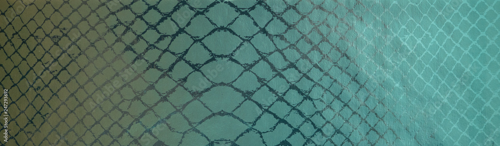 Fototapeta premium snake skin
