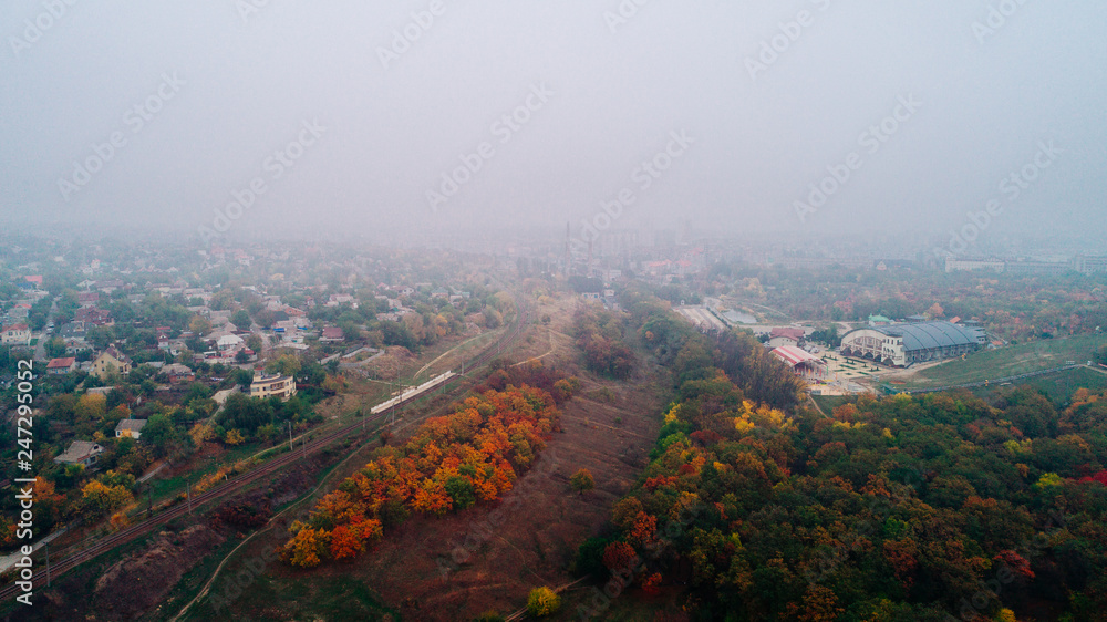 autumn trees on a foggy day, top view