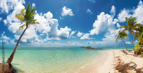 Εκτύπωση καμβά Blue sky,coconuts trees,  turquoise water and golden sand, panoramic view of Caravelle beach, Saint Anne, Guadeloupe, French West Indies