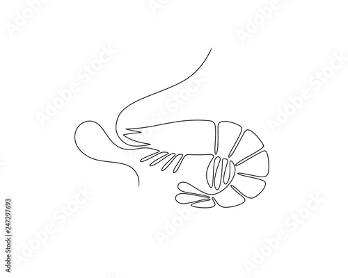 Shrimp circuit. Isolated shrimp on white background
