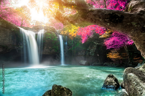 Amazing in nature  beautiful waterfall at colorful autumn forest in fall season 