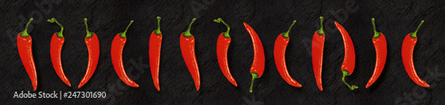 Illustration of red chili peppers on slate backgroundpanoramic format photo