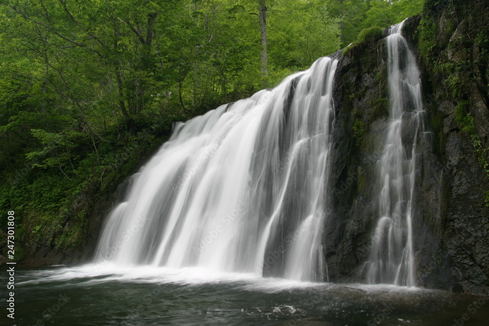 Fototapeta premium 雑魚川の流れ