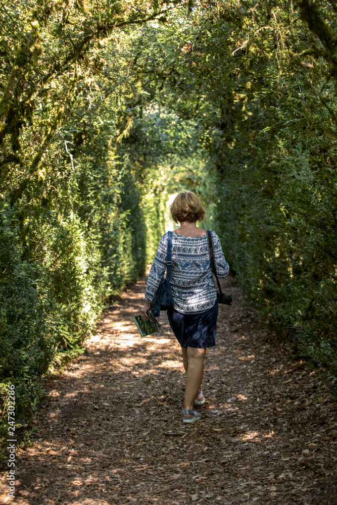 Plant Tunnel in the gardens of the Jardins de Marqueyssac in the Dordogne region of France Plant Tunnel in the gardens of the Jardins de Marqueyssac in the Dordogne region of France