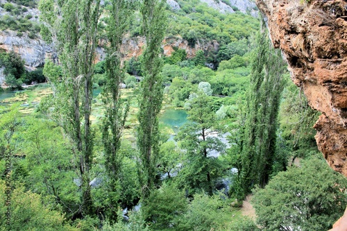 nature near the Roski slab waterfalls  N.P. Krka  Croatia