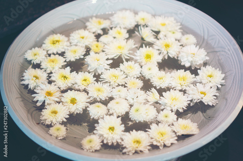 Many flowers float in pots ...