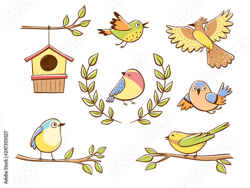 Colorful cute bird icons and decoration elements, isolated on white background. Hand drawn vector illustration.