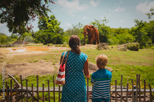 mother and son looking at elephants in zoo