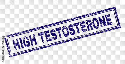 HIGH TESTOSTERONE stamp seal print with grainy style and double framed rectangle shape. Stamp is placed on a transparent background.
