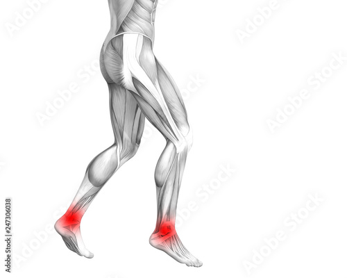Conceptual ankle human anatomy with red hot spot inflammation or articular joint pain for leg health care therapy or sport muscle concepts. 3D illustration man arthritis or bone osteoporosis disease