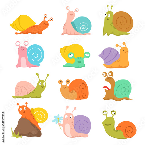 Cartoon snail. Cute slug, mollusk with shell and escargot. Funny animals vector characters. Snail slug, mollusk in shell, slow wildlife illustration photo