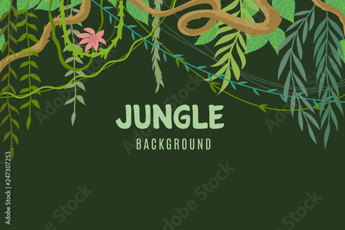 Jungle tropical background. Wildlife adventure in rainforest. Lina and leaves vegetation frame. Exotic landscape vector concept. Illustration of tree and green leaf tropic