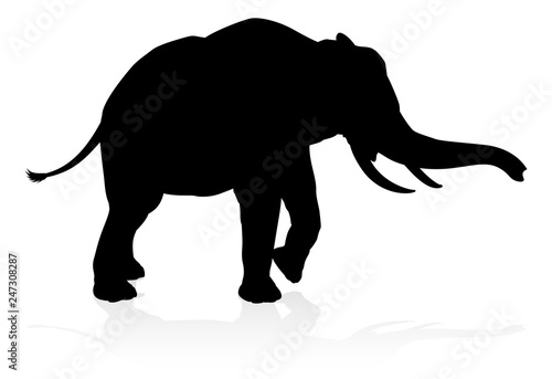 An elephant safari animal silhouette  photo