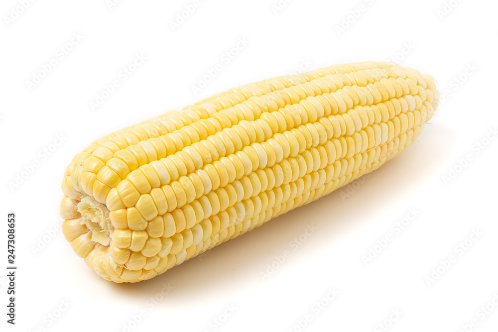 Corn isolated on white background Corn isolated on white background