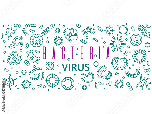 Line bacteries, viruses vector banner poster design. Bacterial and bacterium infection organism illustration photo