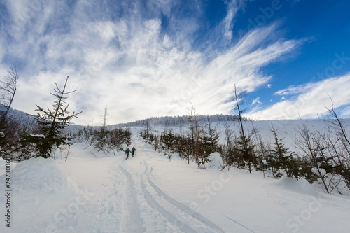 Fototapeta Naklejka Na Ścianę i Meble -  Winter skitour trekking Beskidy mountains