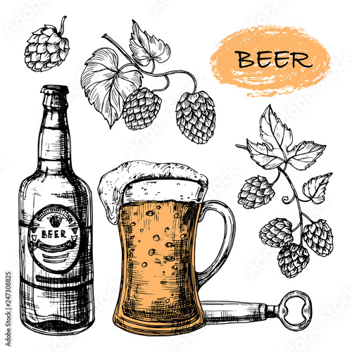 Sketched beer collection with glass, bottle and hop vector set. Illustration of alcohol bottle beer sketch