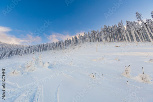 Fototapeta Naklejka Na Ścianę i Meble -  Winter skitour trekking Beskidy mountains
