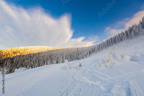 Fototapeta Naklejka Na Ścianę i Meble -  Winter skitour trekking Beskidy mountains