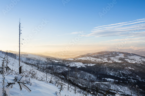 Fototapeta Naklejka Na Ścianę i Meble -  Winter skitour trekking Beskidy mountains