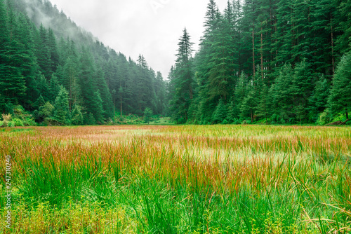 Grass covered punrik rishi lake in himalayas, Sainj Valley, Himachal Pradesh, India photo